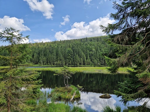 Seehäusl am Kleinen Arbersee photo 9